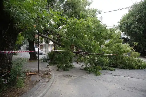 El fuerte temporal también azotó a La Plata