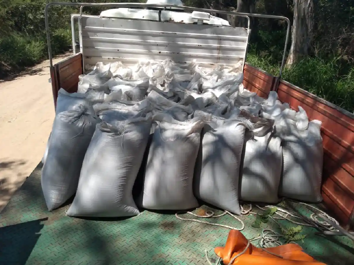 Seis detenidos por robar semillas en un campo de El Fuertecito 