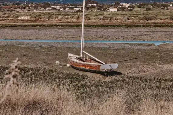 Alarmante pronóstico climático de un investigador de la UNL