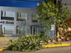 Lluvia y viento en Tandil: lo que dejó la tormenta