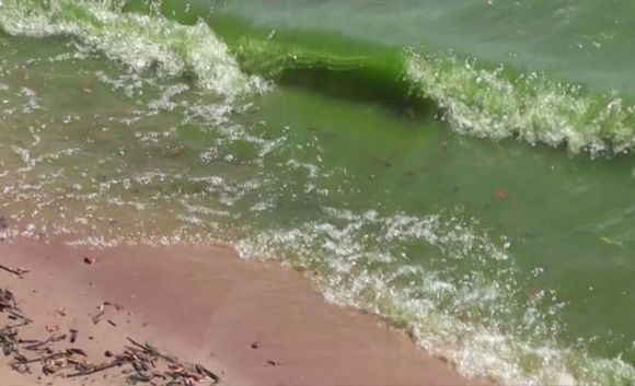 El Gobierno recomendó no bañarse en el río por riesgo de cianobacterias, a la espera de resultados de análisis