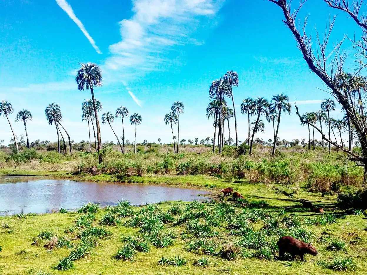 El Gobierno liberó la prestación de servicios en Parques Nacionales para sumar competencia privada