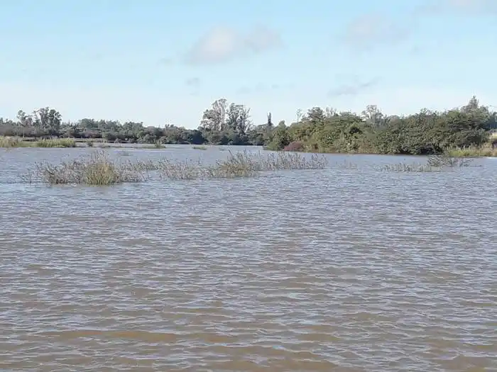 Se incrementó el nivel del río, pero irá en descenso