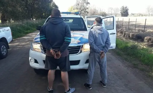 Detenidos, tras un robo en un campo cercano a Pieres