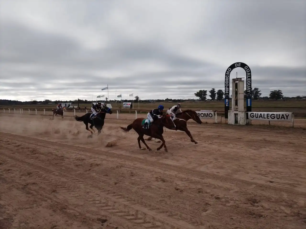 Turf: “El Negro Luis” brilló en el Gran Premio 25 de Mayo