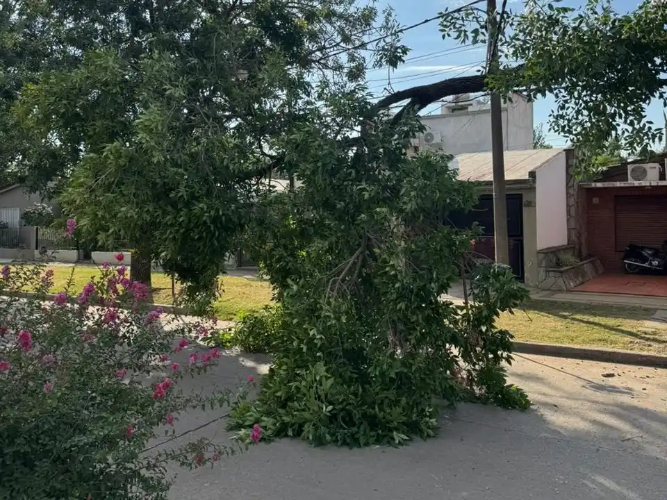 Crédito: Bomberos de Venado Tuerto.