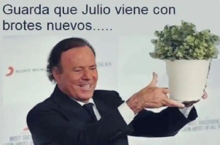 Arrancó julio y las redes se inundaron de los memes más esperados del año