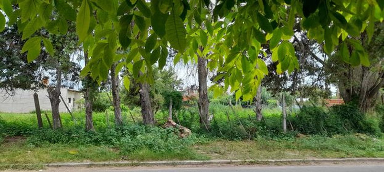 Terreno abandonado y sucio