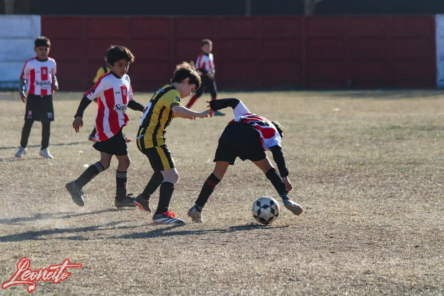 torneo leoncito femenino rafaela - 1