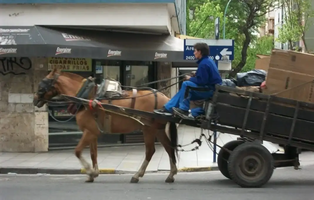 Se buscará erradicar el uso de caballos para tirar carros en la provincia de Buenos Aires.