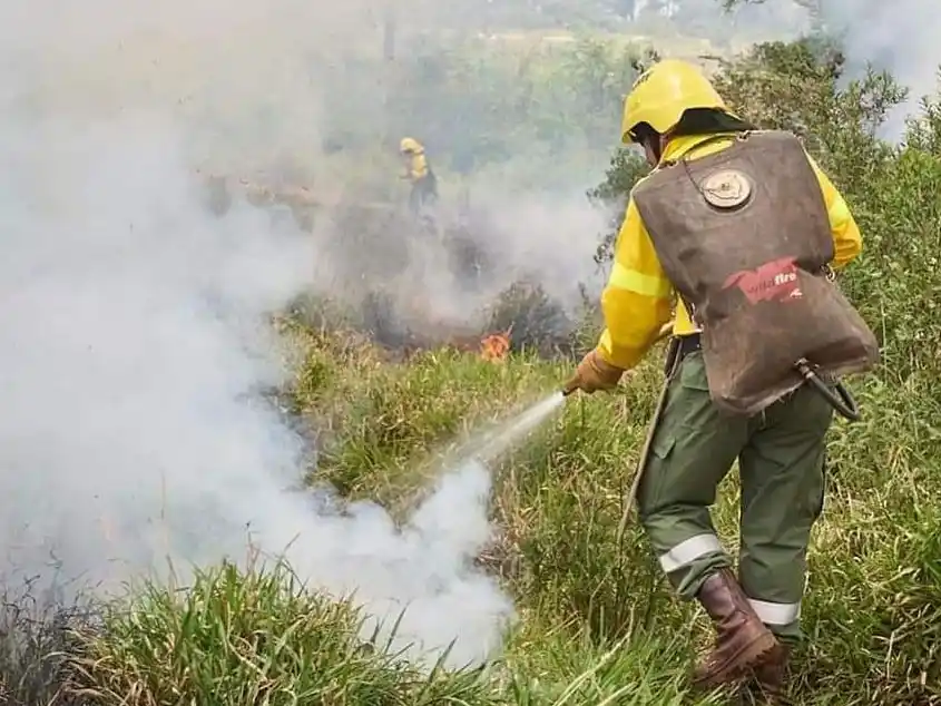 El Gobierno envía al Senado proyecto de “Inviolabilidad de la Propiedad Privada”