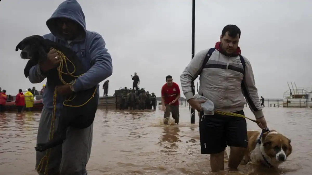 ¡TODA VIDA CUENTA! Rescatistas en Brasil lo dan todo para salvar a las mascotas de las inundaciones