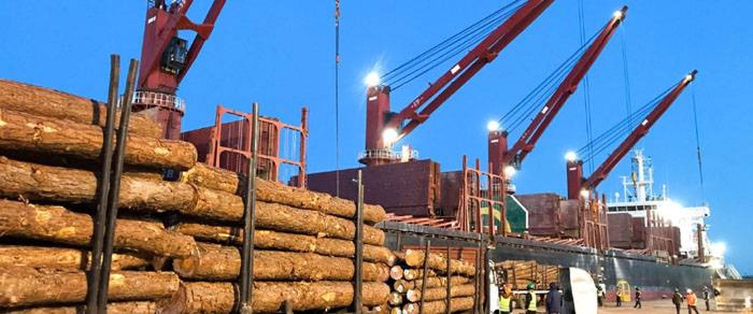 Dos buques cargan en  simultáneo en los  puertos entrerrianos