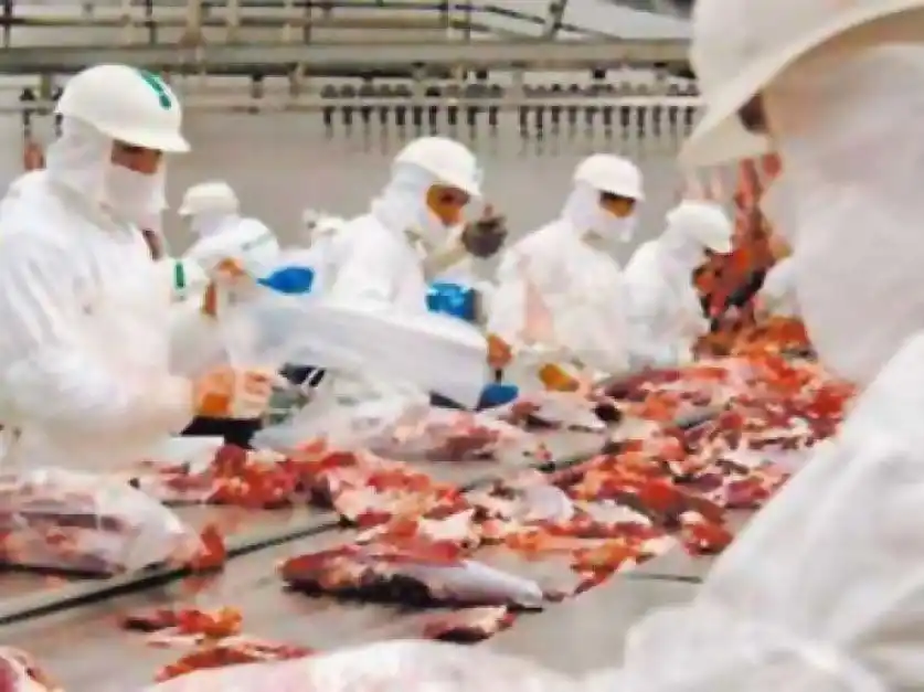 El Senasa avanzó en la implementación del nuevo sistema de cuarteo