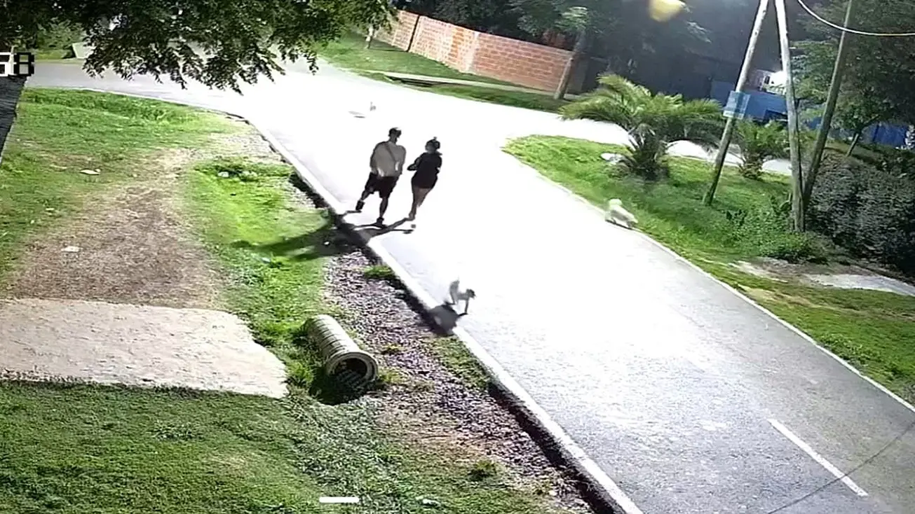 Las cámaras de seguridad la registraron, junto a un joven, en la calle Trinidad del barrio Río Luján.