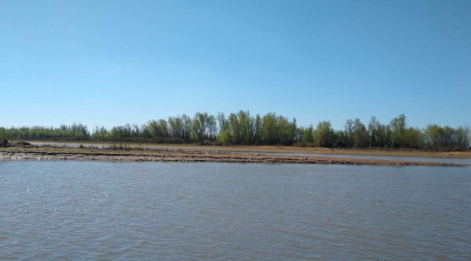 Una recorrida por el Delta: “La quema de islas es como serruchar la rama donde uno está parado”