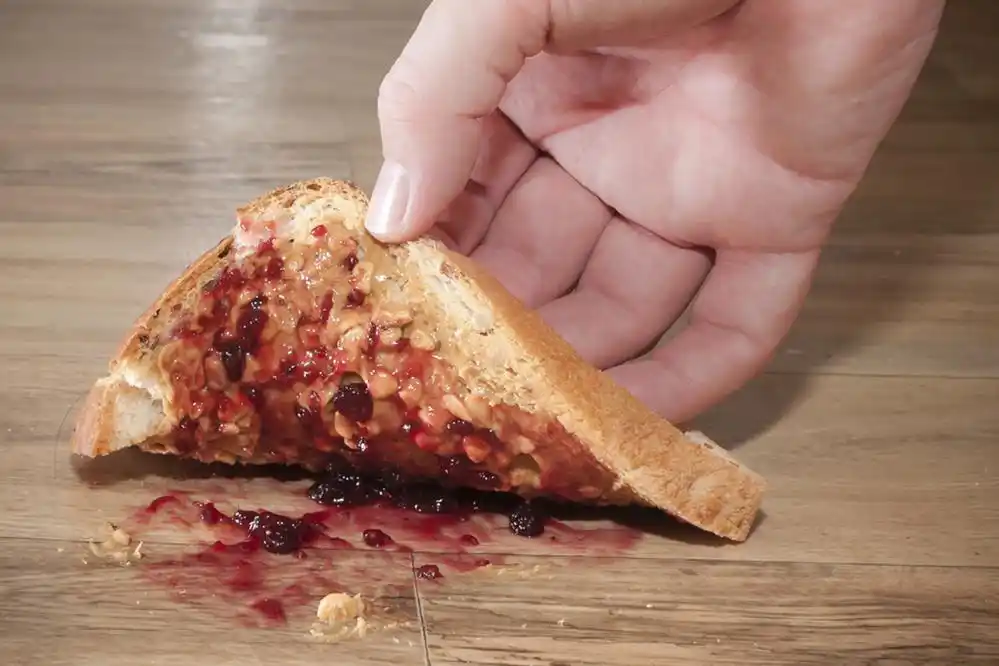 Alimentos en el piso, ¿funciona la regla de los cinco segundos?