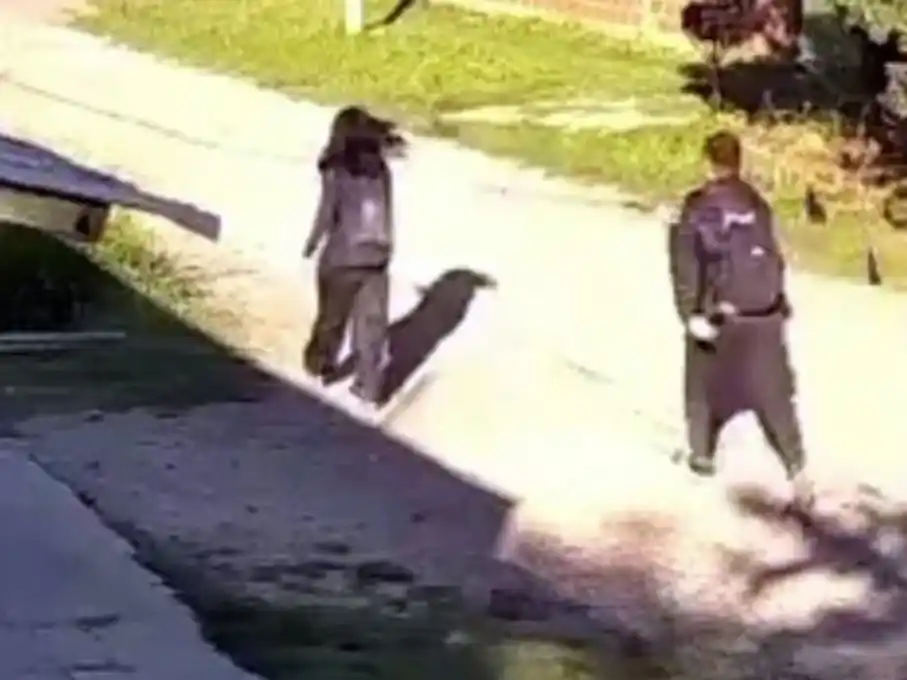 El hecho ocurrió el miércoles minutos después de las 8 de la mañana.