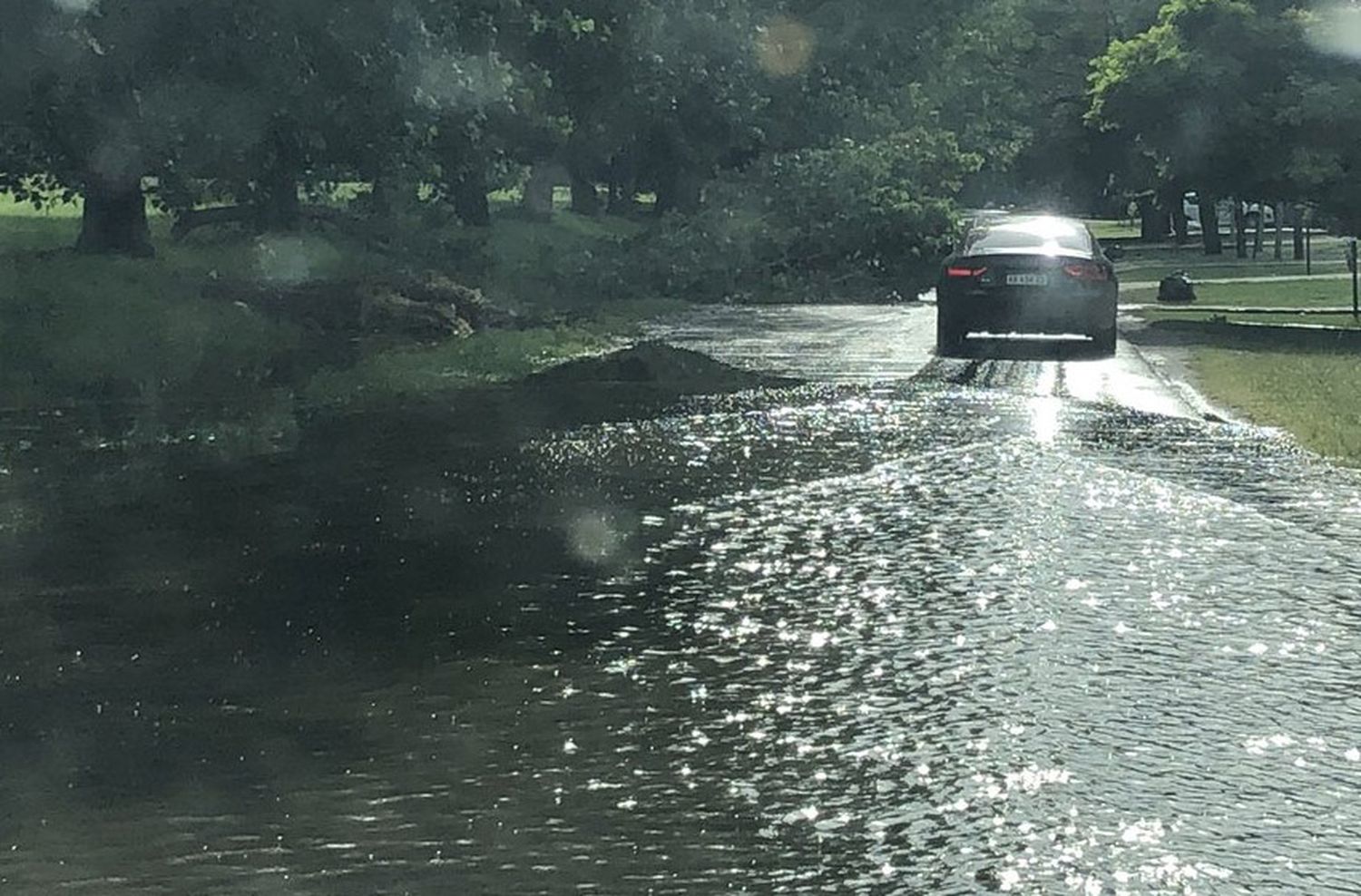 Tormenta en Rosario: se registraron cerca de 50 reclamos por caída de árboles, cableado y anegamientos