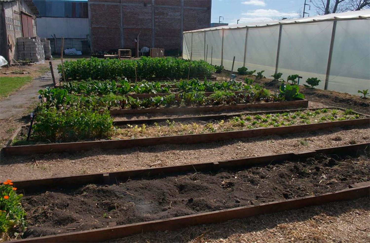 El boom de las huertas: en Tandil ya se viene la tercera, con perfil agroecológico