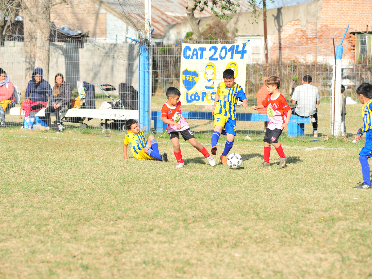 Se juega una nueva fecha del Torneo Clausura