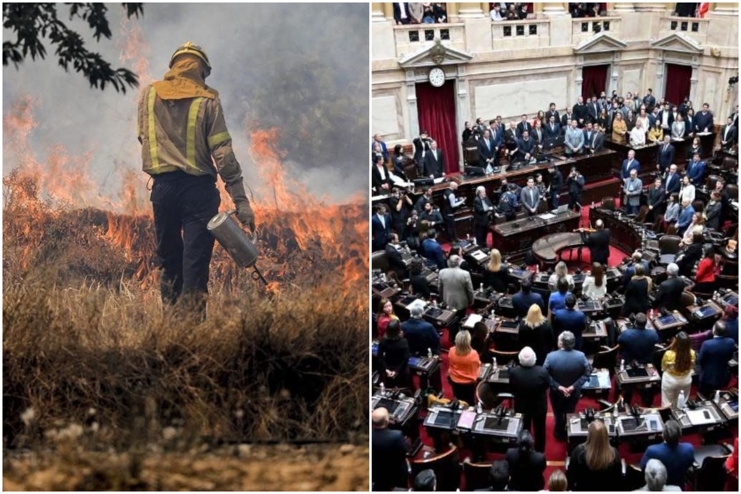 Qué es la ley de humedales y por qué los 7 bloques de Diputados pidieron "sin grieta" postergar su tratamiento