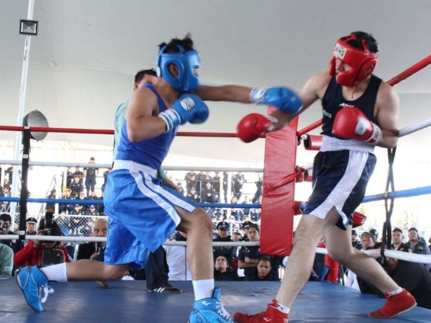 La velada del sábado será de boxeo