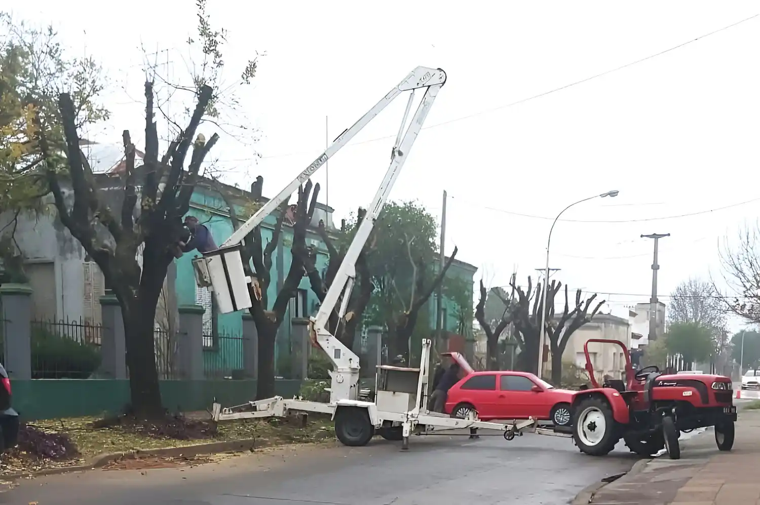 Esta semana hubo poda en la cuadra de 25 de Mayo al 1700.