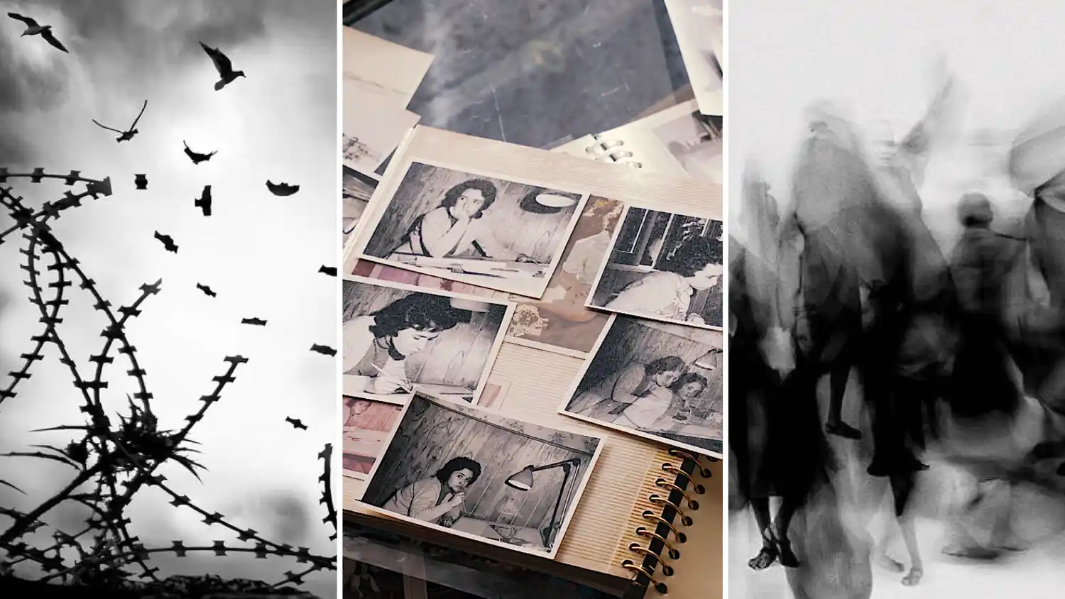 Entre las actividades, proyectarán la película “La memoria que habitamos”.