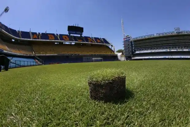 Boca venderá el césped de la Bombonera: $200 cada maceta