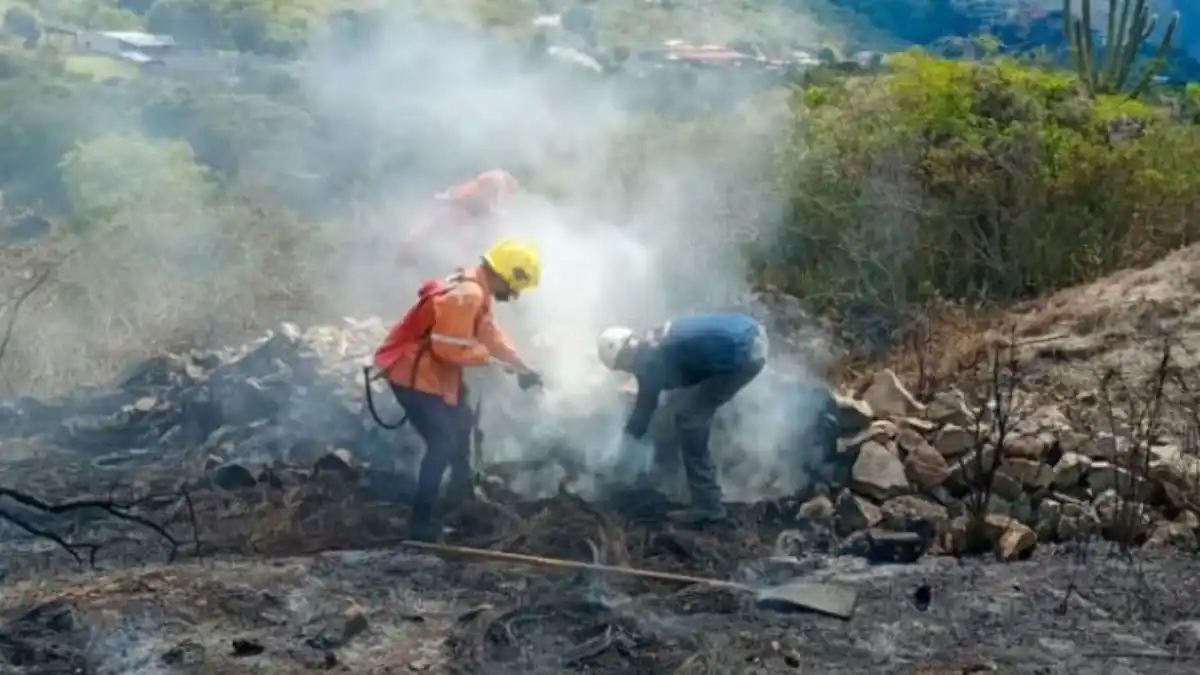 ¡TÁCHIRA EN LLAMAS! Incendio devora parte del páramo El Zumbador (Video)