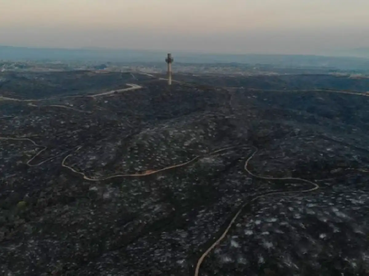 El gobierno provincial presentó denuncia por la venta de lotes afectados por incendios