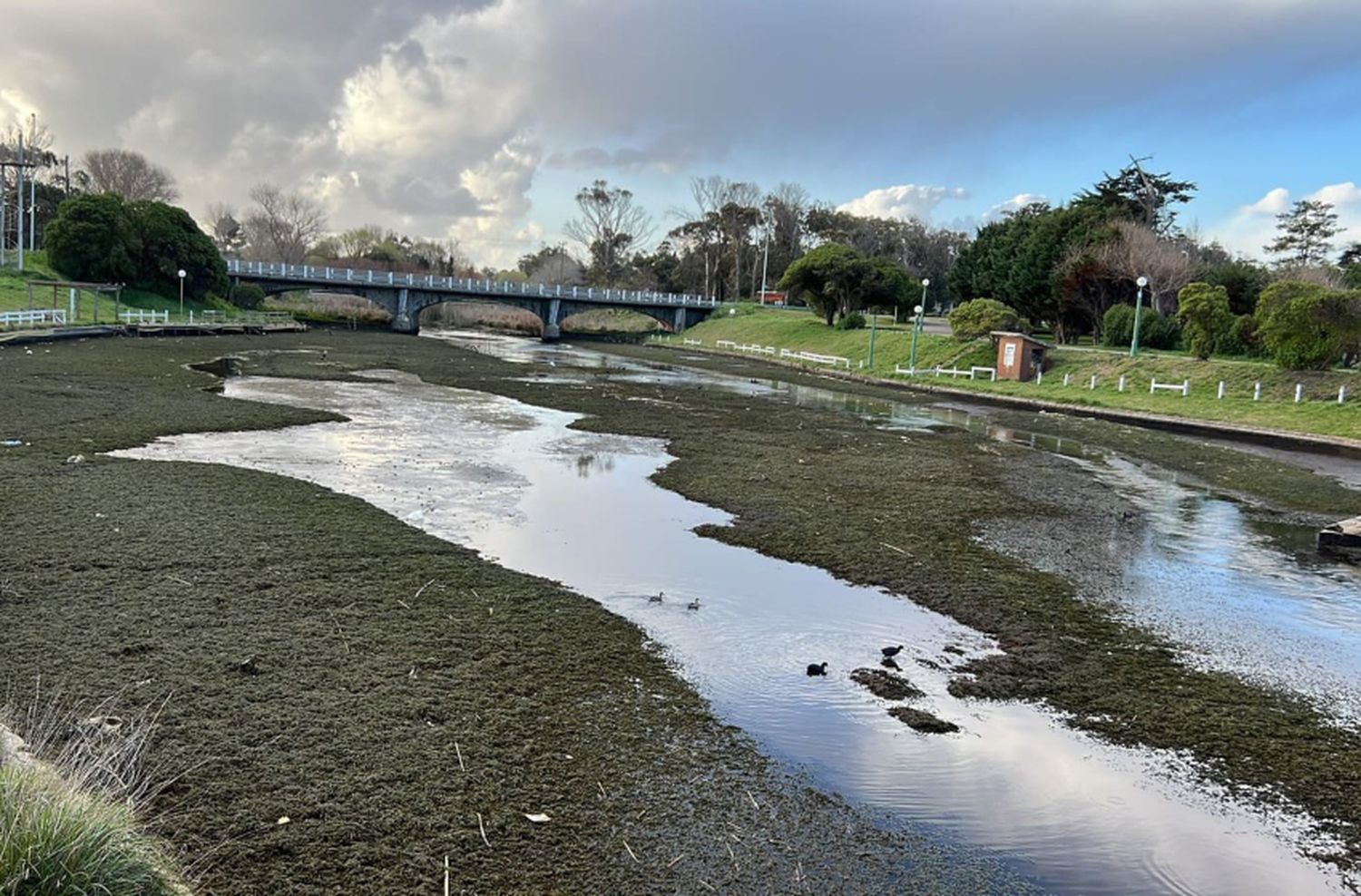 Comenzó el saneamiento del lago de Chapadmalal