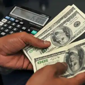 Cotización del dólar: Subió 8 centavos el oficial y bajó el blue