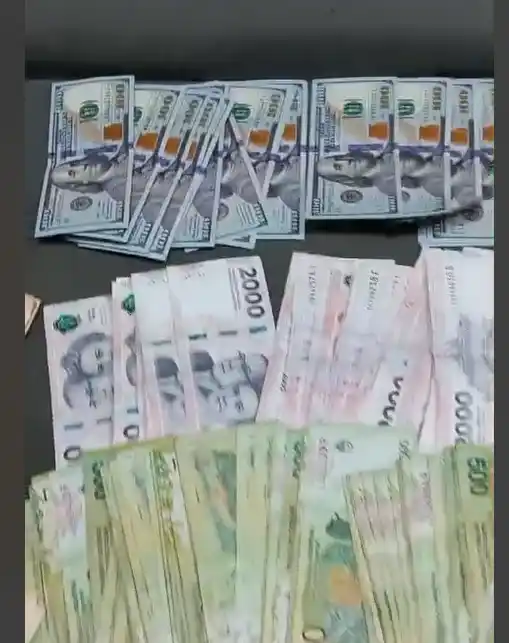 Parte del dinero en efectivo incautado en el allanamiento.