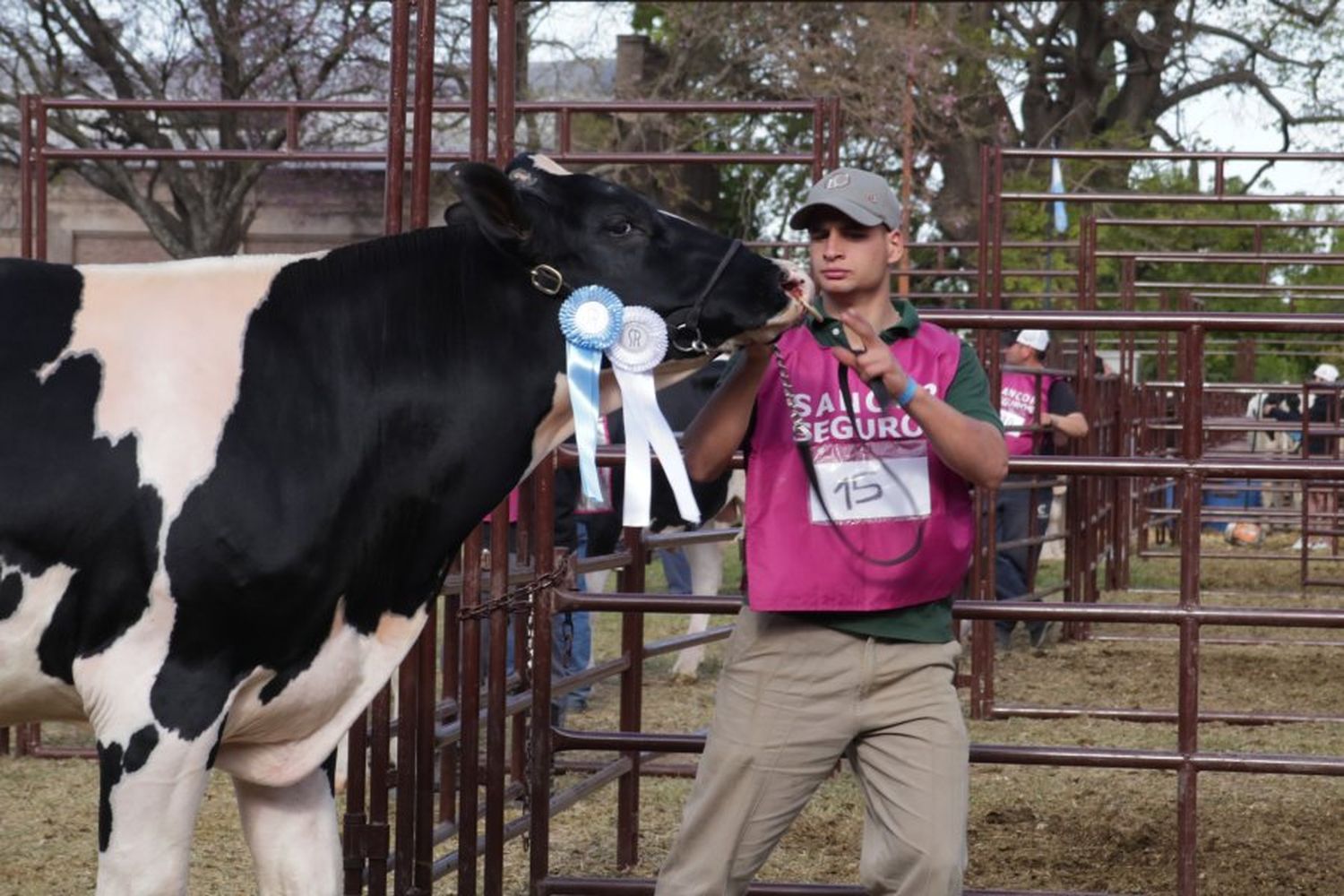 Positivo balance de la Lehmann en el Remate Holando en la Expo Rural de Rafaela