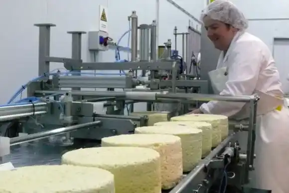 Avanza la creación de una Región del  Queso Azul de Santa Fe