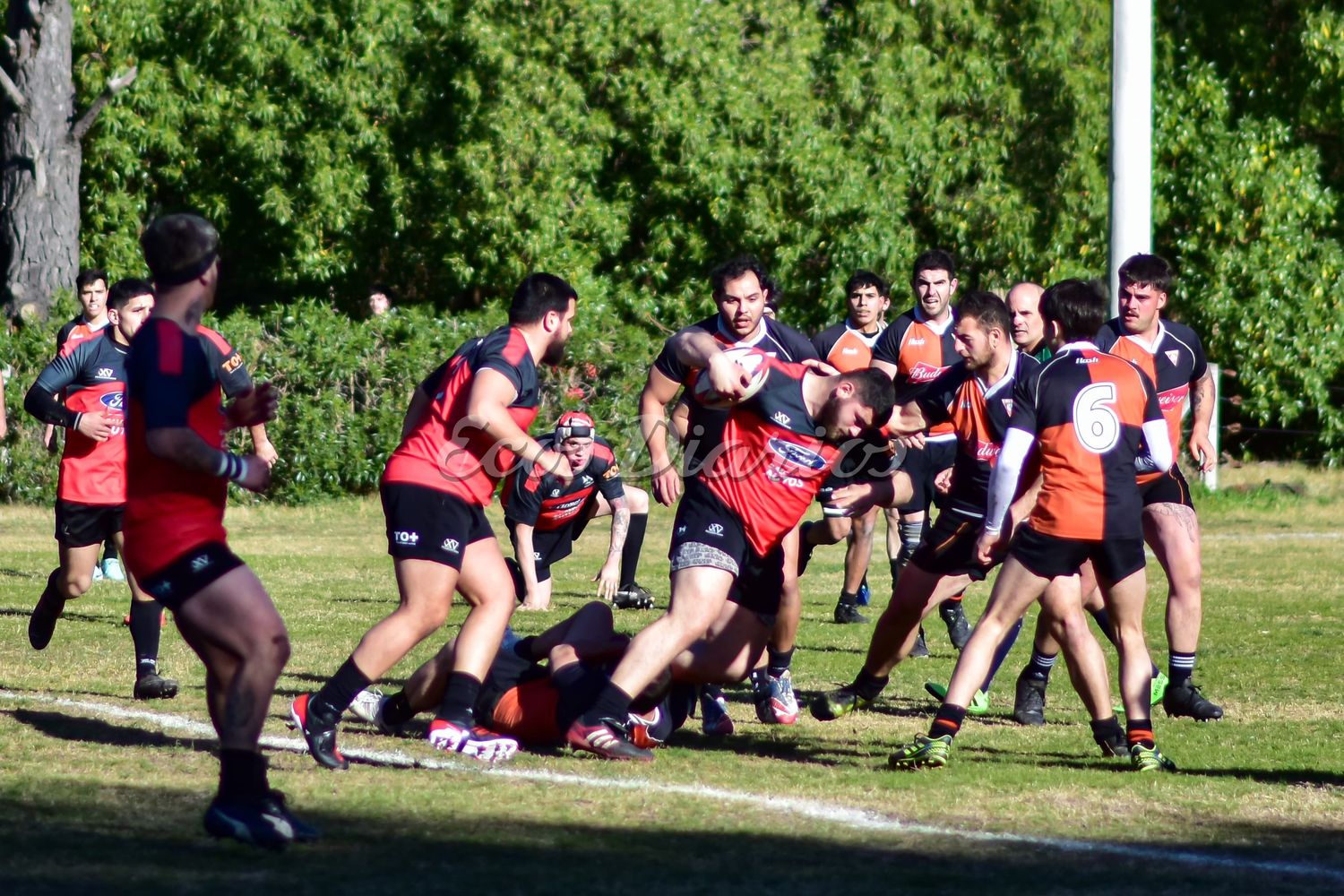Tiburones no pudo ante Campo de Pato de Balcarce