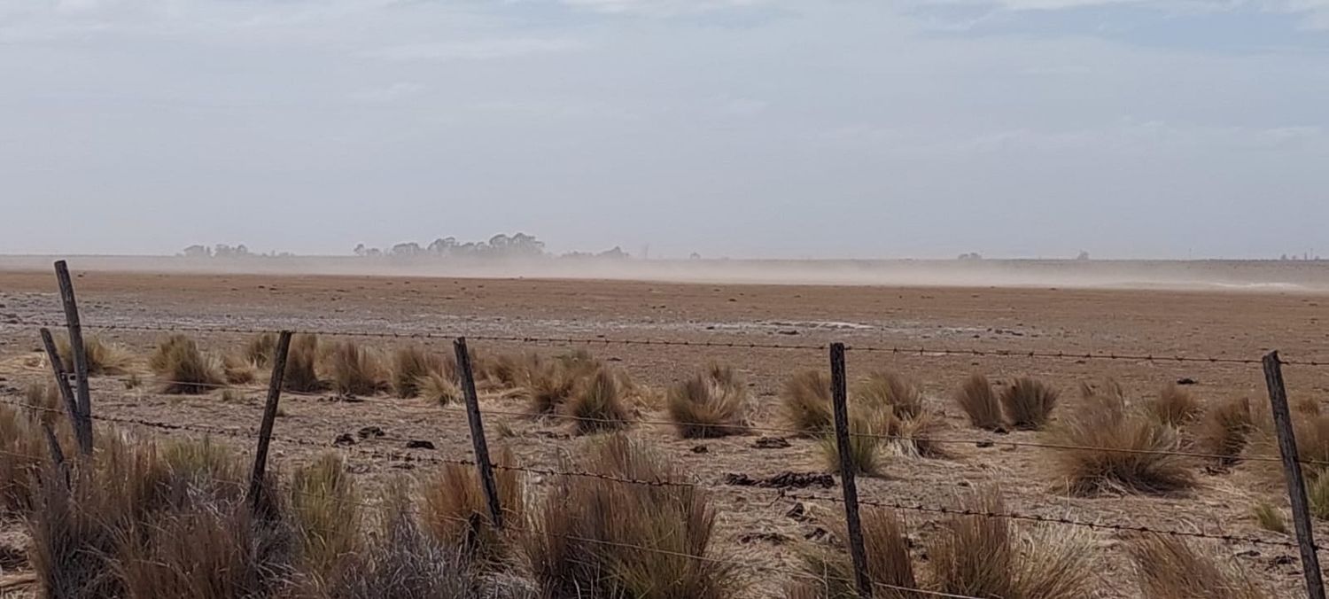 Sequía en Patagones: Esperan la visita del secretario de Agricultura de la Nación en medio de malos pronósticos