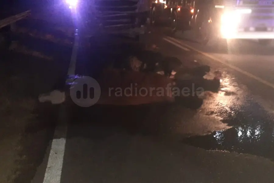 Un camión impactó contra varios vacunos que estaban sobre Ruta Nacional 34