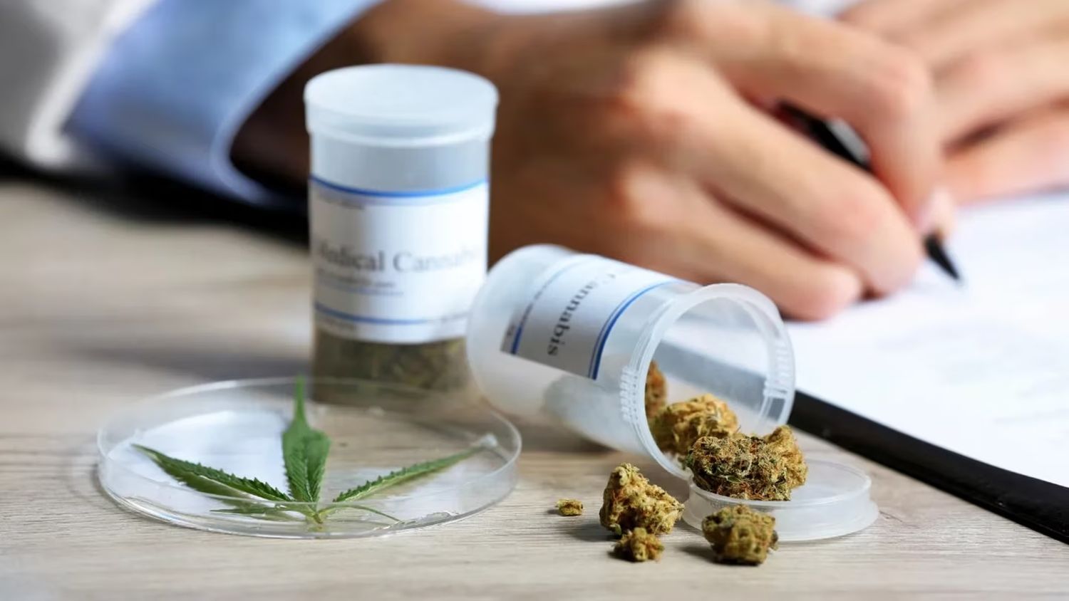 El cannabis tiene varios usos en la medicina