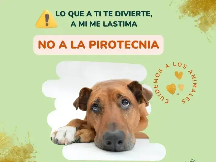 no a la pirotecnia