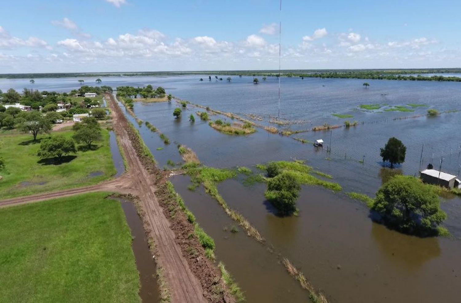 Se perdieron otras 270 mil hectáreas de soja por las inundaciones en la región