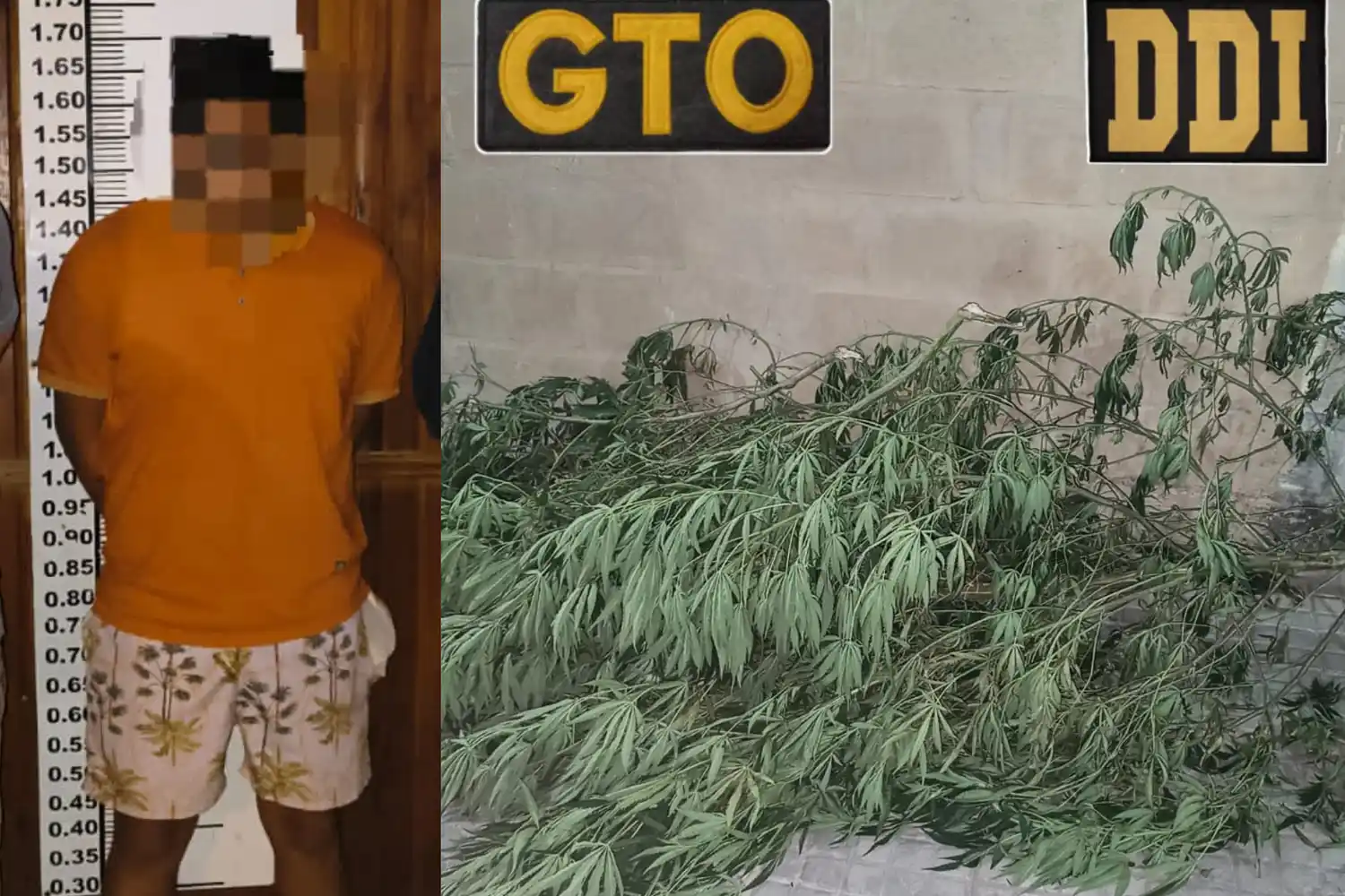 Hay un aprehendido y secuestraron marihuana y armas.