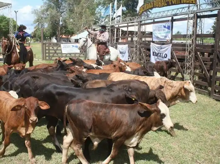 Del 5 al 7 de septiembre se realizará la
80.ª edición de la Expo Rural Formosa 2025