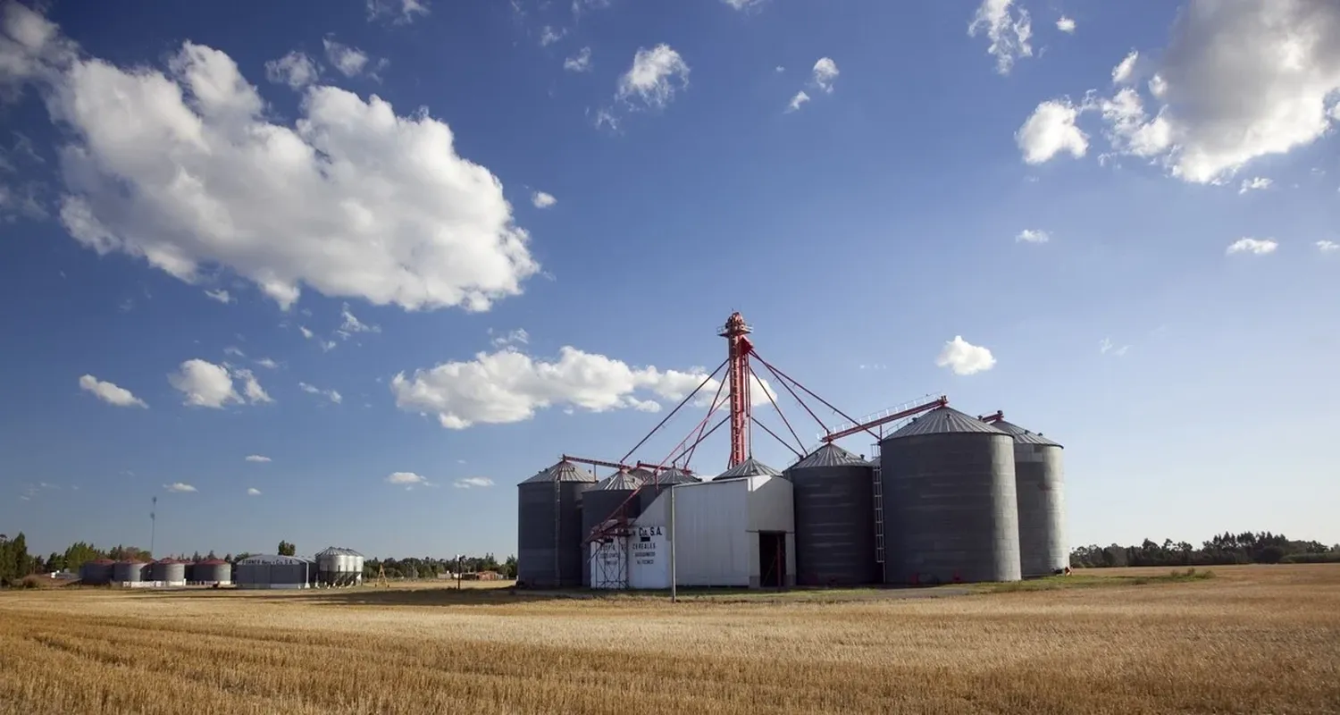 Fuerte caída en la liquidación de dólares de la agroexportación