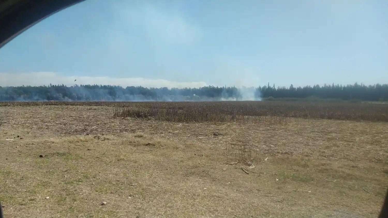 Propietarios del campo incendiado en Río Tala denunciaron al delegado en Fiscalía