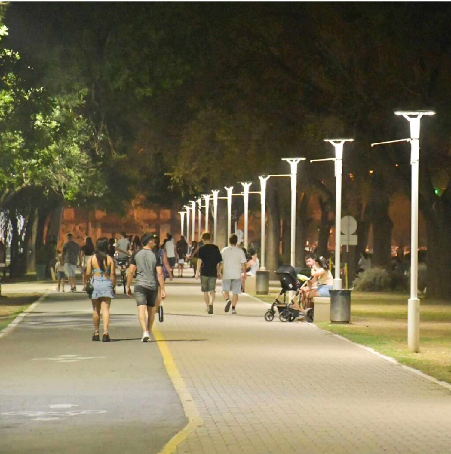 Venado Tuerto: inauguran la etapa final de la nueva iluminación del Parque Municipal 