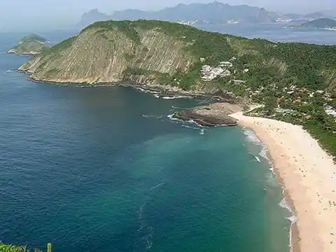 Talan más de 300 árboles centenarios en Brasil por la visita del papa