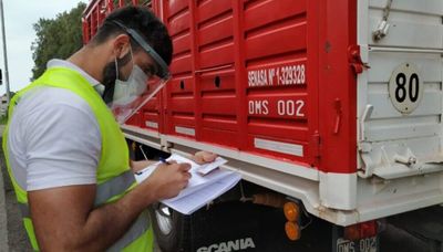 Nueva habilitación para el transporte de animales: la hacienda también viajará en bitrenes
